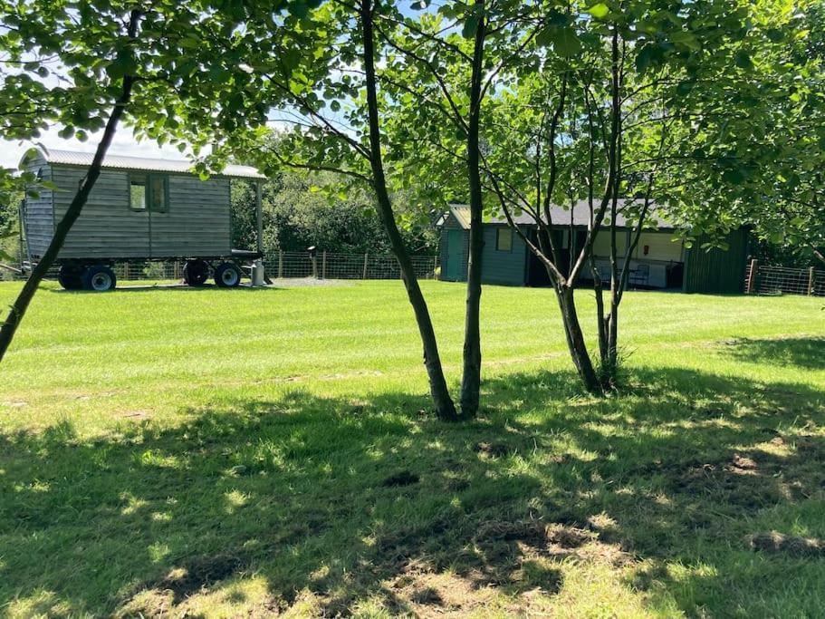 Foxgloves And Fairytales Hut With Hot Tub Farm stay Llanwrda