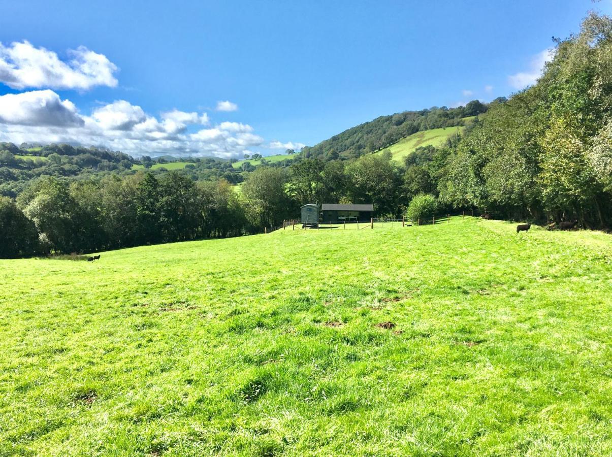 Foxgloves And Fairytales Hut With Hot Tub Llanwrda