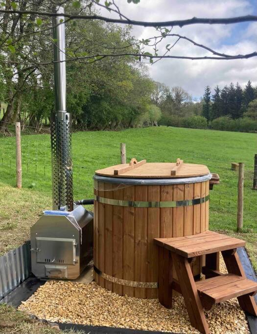 Farm stay Foxgloves And Fairytales Hut With Hot Tub Llanwrda