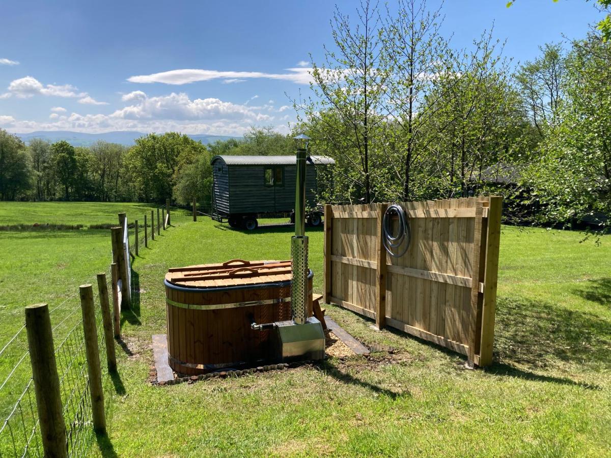 Foxgloves And Fairytales Hut With Hot Tub Farm stay Llanwrda