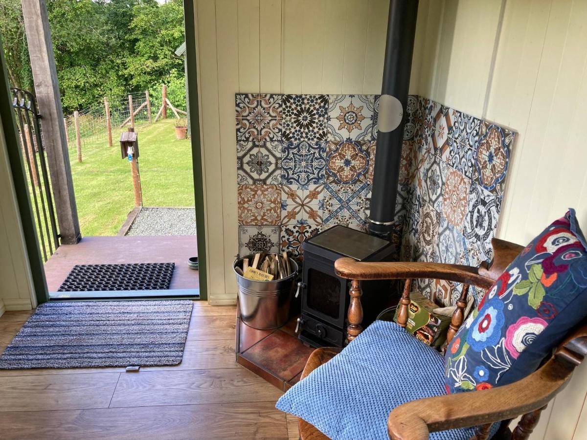 Foxgloves And Fairytales Hut With Hot Tub Farm stay Llanwrda