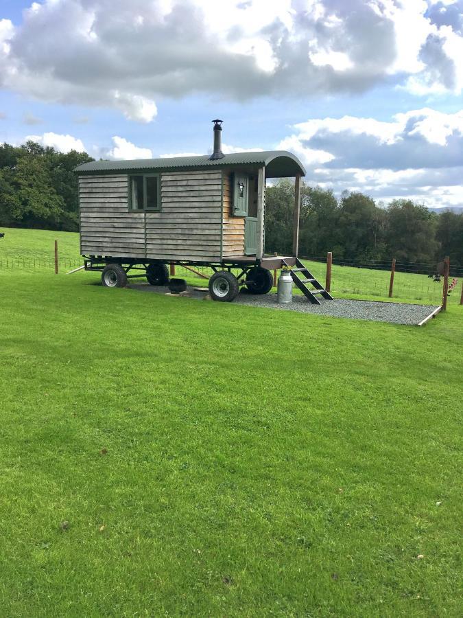 Foxgloves And Fairytales Hut With Hot Tub * Llanwrda